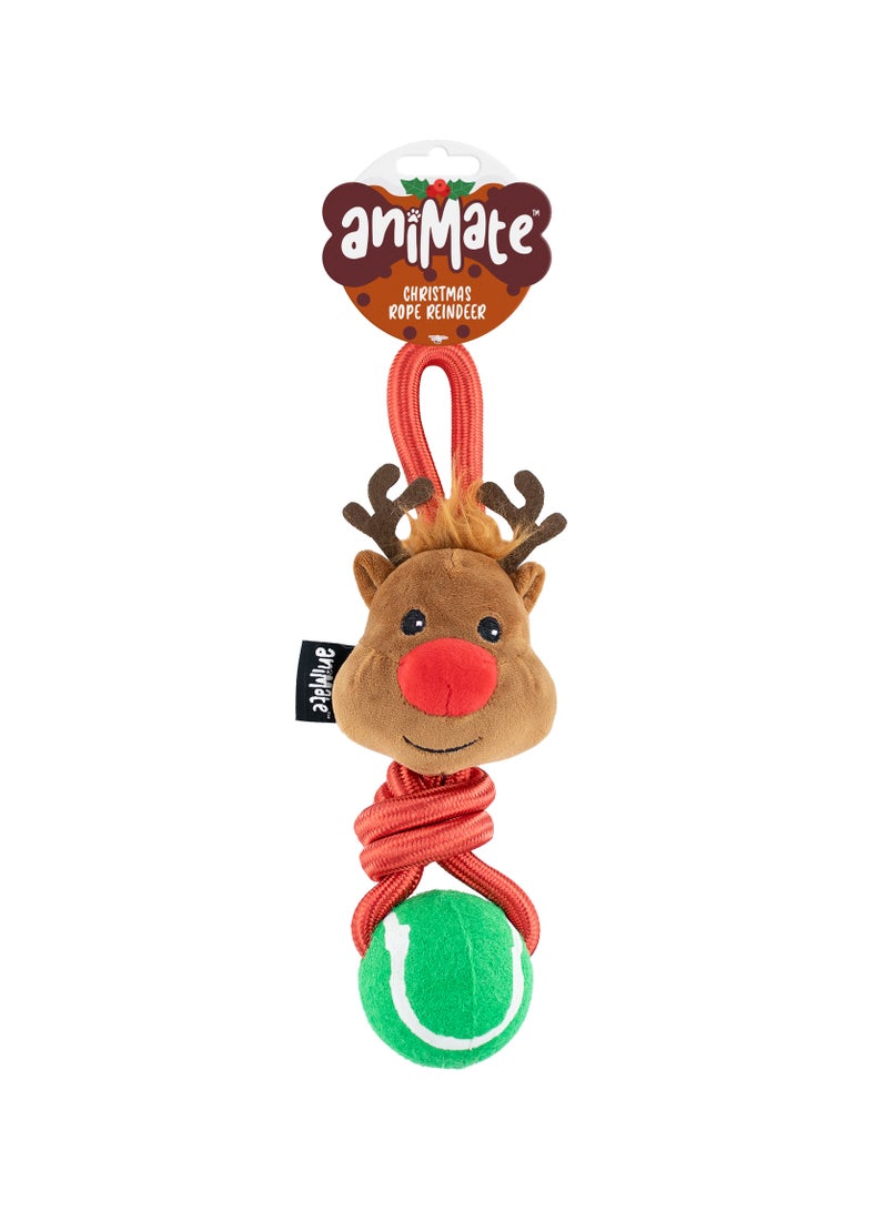 Webbox Rope/Plush Reindeer