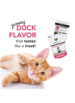 VetriScience Laboratories Probiotic Everyday For Cats, Digestive Support Supplement, Duck Flavor, 60 Bite Sized Chews  Probiotics And Prebiotics, Gi And Immune Support  - Image 3