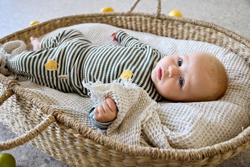 Lassig قميص بأكمام طويلة مخطط - Image 5