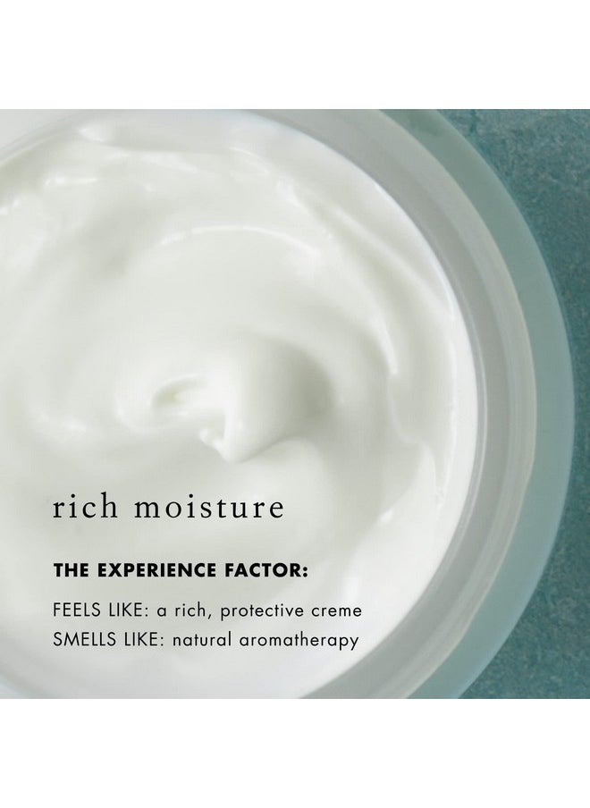 Bioelements Spf 50 Facescreen 2.3 Oz Antioxidant Broadspectrum Spf 50 Sunscreen Moisturizer For All Skin Types Vegan Gluten Free Never Tested On Animals  - Image 3
