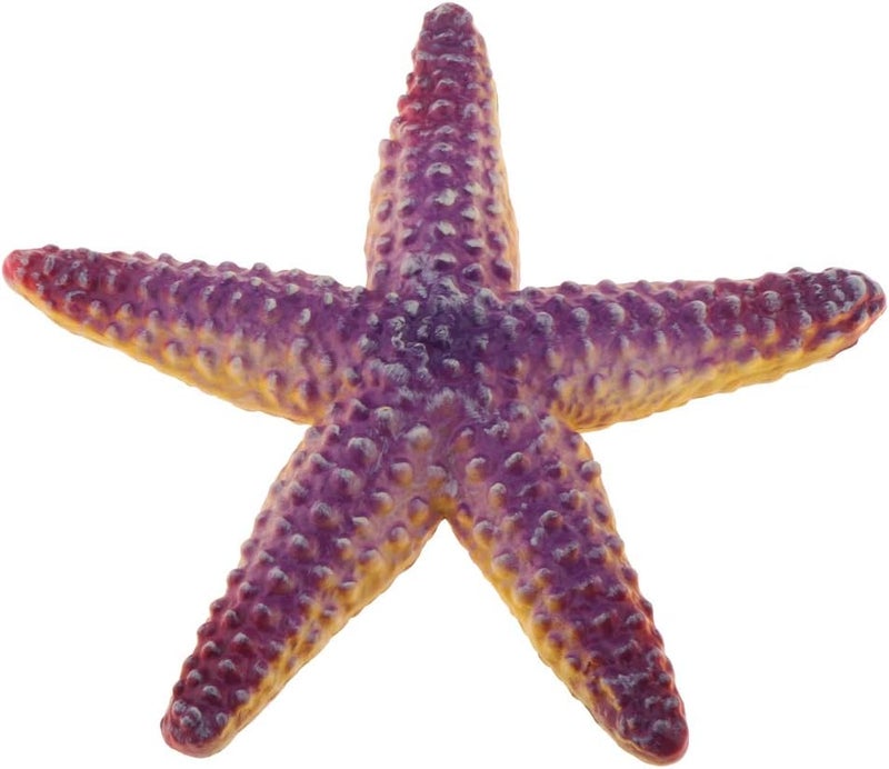klarako Realistic Static Ocean Animal Model Lifelike Sea Creature Figures Kids Cognitive Learning Toys - Starfish - Image 2