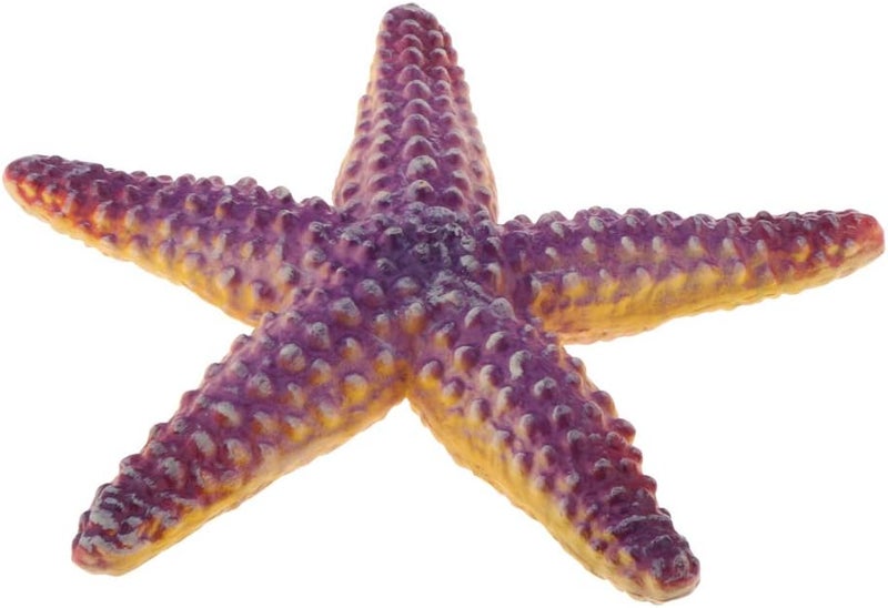 klarako Realistic Static Ocean Animal Model Lifelike Sea Creature Figures Kids Cognitive Learning Toys - Starfish - Image 1