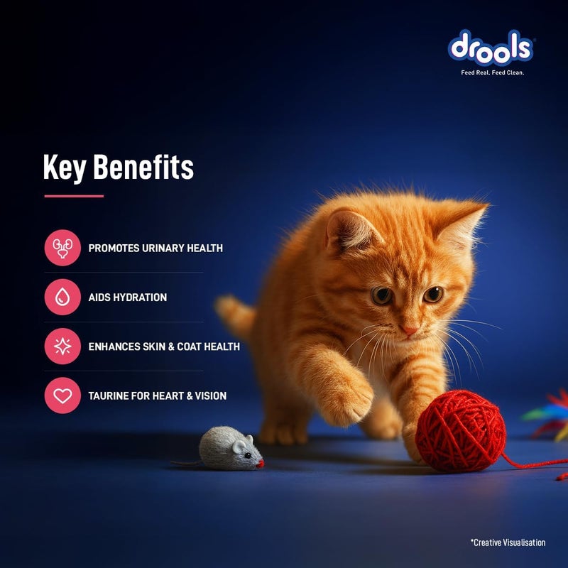 Drools Kitten Salmon Mousse 80g - Grain Free, High Protein, Easy to Digest - Image 5