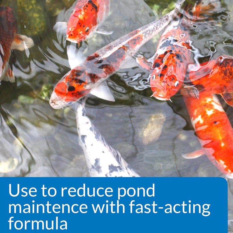API POND SIMPLY CLEAR Pond Water Clarifier 1-Gallon Bottle - Image 2
