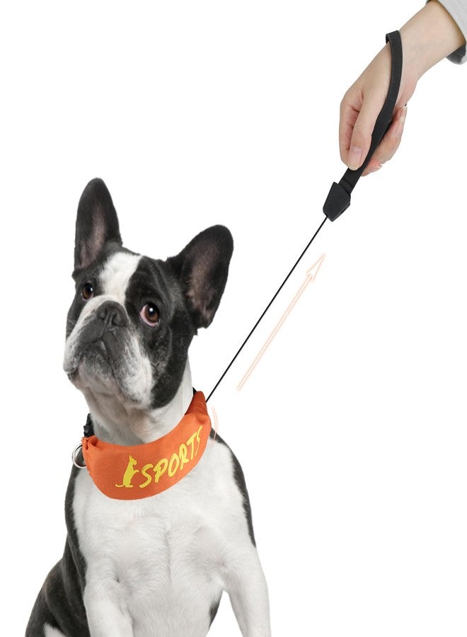 NAMSAN Retractable Dog Leash Collar for Small to Medium Dogs, Dog Collar with Retractable Leash Built-in, All-in-One, Adjustable, Orange - Image 1