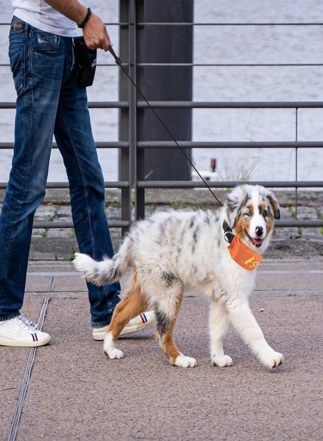 NAMSAN Retractable Dog Leash Collar for Small to Medium Dogs, Dog Collar with Retractable Leash Built-in, All-in-One, Adjustable, Orange - Image 2