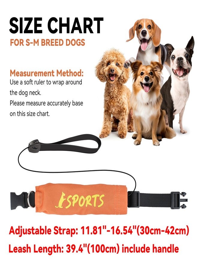 NAMSAN Retractable Dog Leash Collar for Small to Medium Dogs, Dog Collar with Retractable Leash Built-in, All-in-One, Adjustable, Orange - Image 3