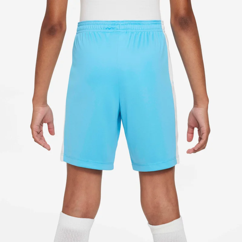 Nike Kids' Dri-FIT Shorts (Older Kids)