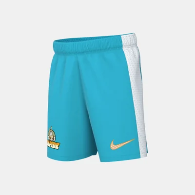 Nike Kids' Dri-FIT Shorts (Older Kids)