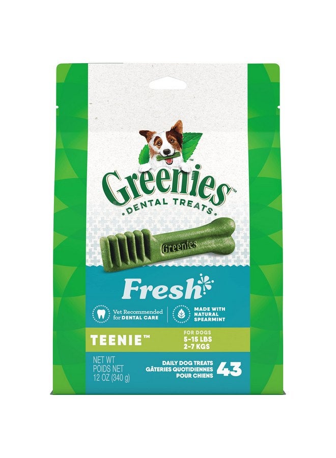 Greenies TEENIE Natural Dental Care Dog Treats Mint Fresh Flavor, 12 oz. Pack (43 Treats) - Image 1