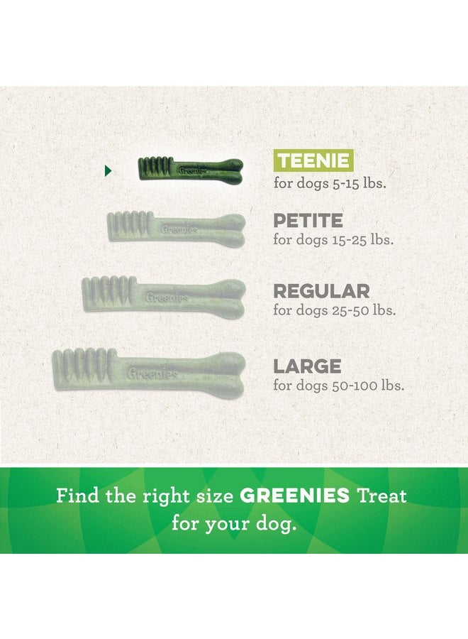 Greenies TEENIE Natural Dental Care Dog Treats Mint Fresh Flavor, 12 oz. Pack (43 Treats) - Image 4