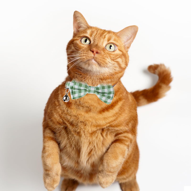 Sliverdew 2 Pcs Bowtie Cat Collar with Bell Breakaway Cat Collars Cute Boy Kitten Collar Adjustable Small Puppy Safety Collar Solid Color Plaid Pet Collar (Green) - Image 3