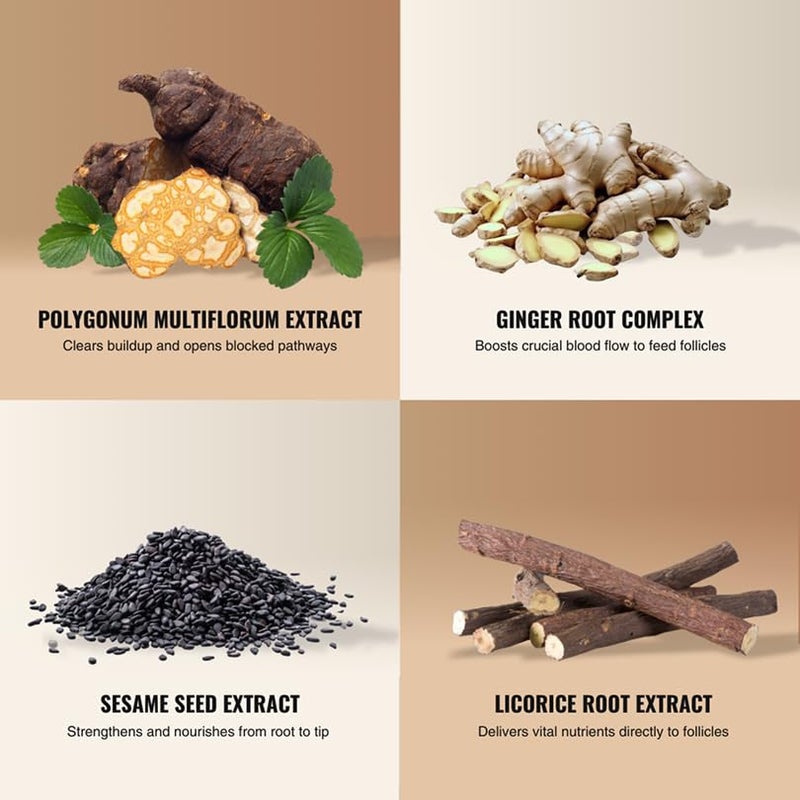 mane شامبو نمو الشعر للرجال (250 مل) لتنشيط البصيلات والجذور لشعر أكثر كثافة وامتلاء - تنظيف وترطيب فروة الرأس - شامبو إعادة نمو الشعر للرجال - Image 3