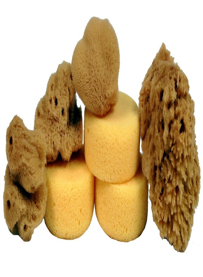 Creative Hobbies® Synthetic and Natural Silk Sponges for Painting, Crafts, Ceramics, Pottery and More, Value Pack of 7 Sponges - Image 4