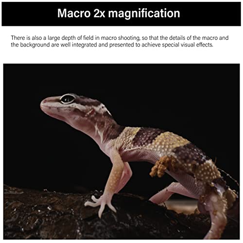 AstrHori 28mm F1.3 Probe Lens 2X Macro Full Frame Specialty Lens for Canon RF Mount Series Mirrorless Cameras - EOS RP, R5, R6, R3, R (Black) - Image 4