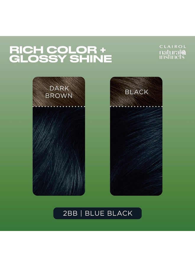 CLAIROL - Natural Instincts Demipermanent Hair Dye 2Bb Blue Black Hair Color Pack Of 3 - Image 1