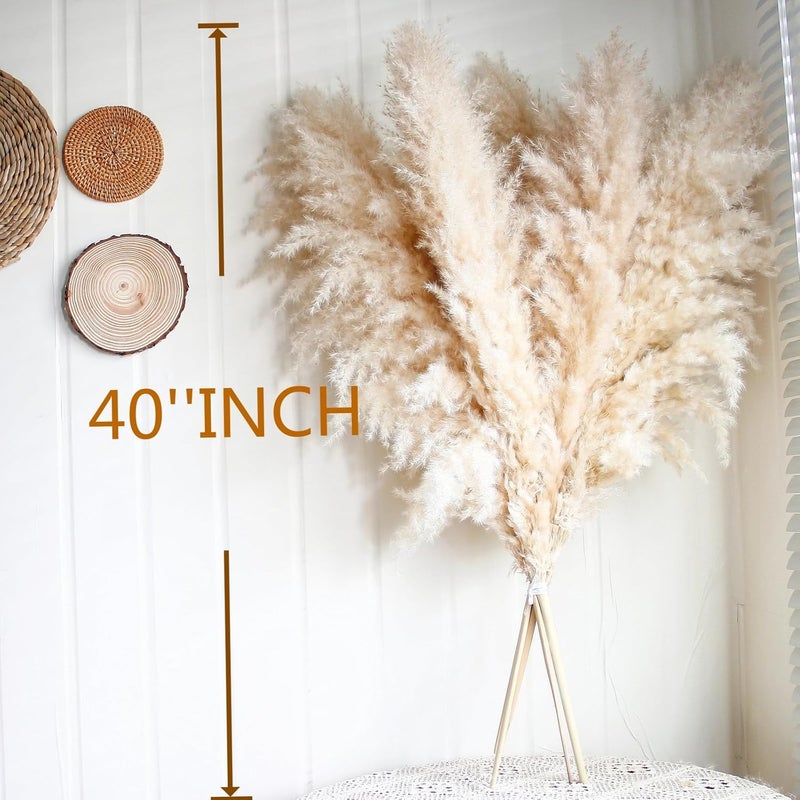 CKBT 10pcs 40'' Pampas Grass Tall Decor - Pompas Floral, Tall Pampas Grass for Floor Vases, Living Room Floor, Floor Plants, Plumas para, and Grass Wall Decor - Image 4
