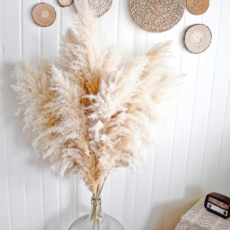 CKBT 10pcs 40'' Pampas Grass Tall Decor - Pompas Floral, Tall Pampas Grass for Floor Vases, Living Room Floor, Floor Plants, Plumas para, and Grass Wall Decor - Image 5