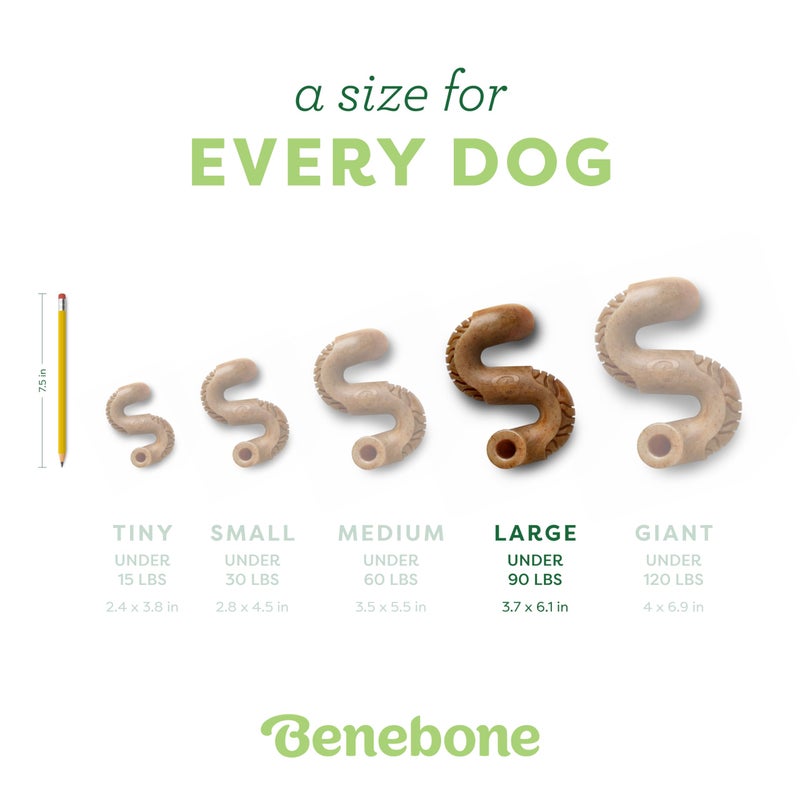 Benebone Tripe Bone Durable Dog Chew Toy for Aggressive Chewers, Real Tripe, Made in USA, Large - Image 4