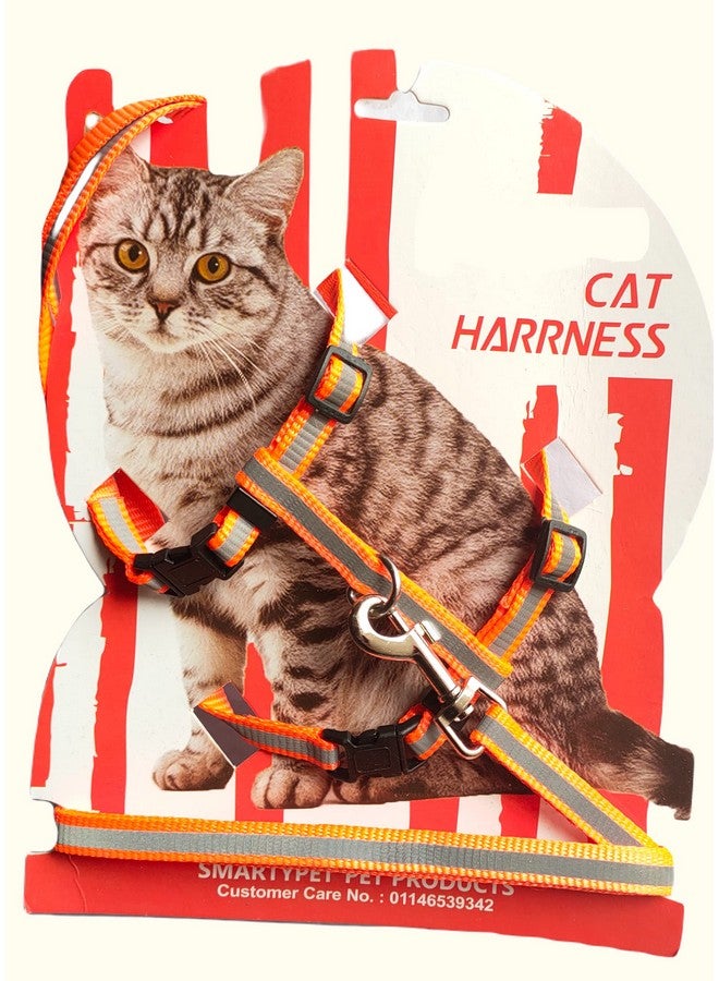 طوق حزام قطط عاكس قابل للتعديل بحزام من النايلون مع مقود وحزام جسم قطط عاكس، حزام أمان للقطط (قد يختلف اللون) - Image 2