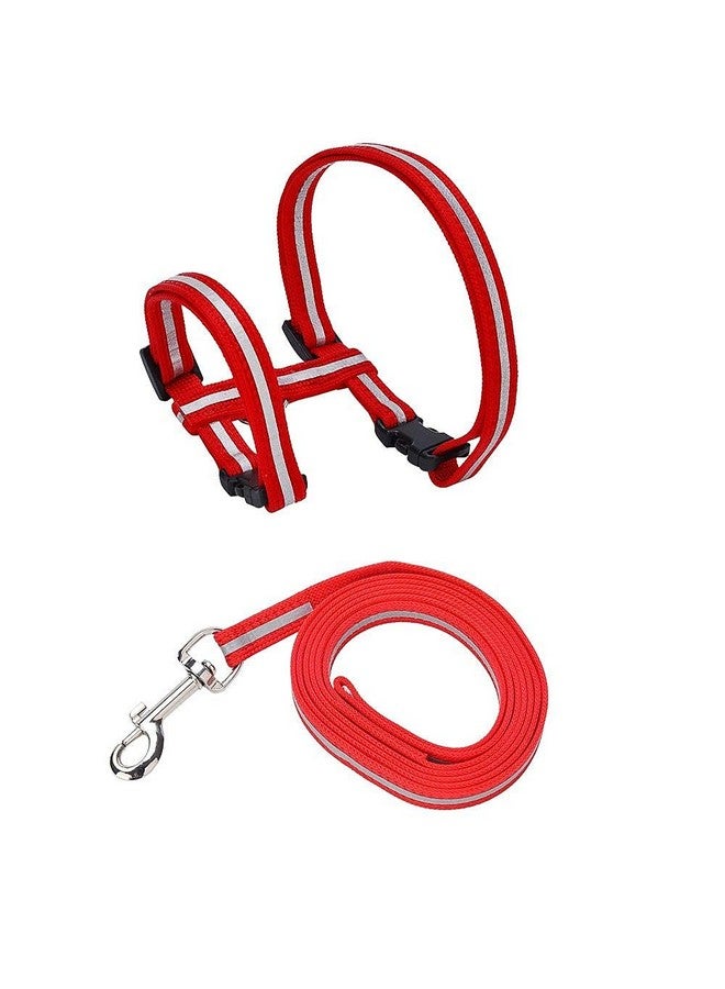 طوق حزام قطط عاكس قابل للتعديل بحزام من النايلون مع مقود وحزام جسم قطط عاكس، حزام أمان للقطط (قد يختلف اللون) - Image 4