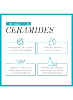 Curel Japanese Skin Care Deep Moisture Spray, Spray on Moisturizer for Dry Skin, Face Hydrating Spray with Ceramides, 5 Oz  - Image 4