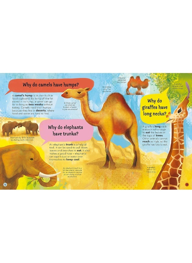 I Wonder Why Camels Have Humps: And Other Questions About Animals