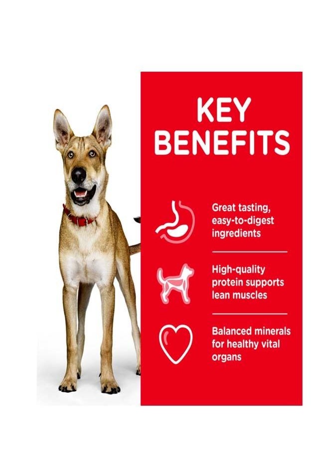 Hill's Science Plan Performance Adult Dog Food With Chicken - 14 Kg  - Image 2