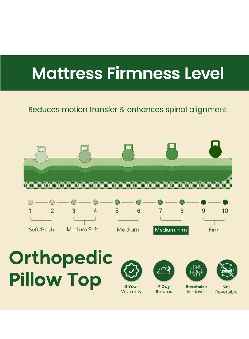 EASELIVING Orthopedic Queen Mattress - 24 cm Medium Firm Pillow Top Mattress | Bonnell Spring Mattress with Breathable Fabric | Spine Support for Pressure Relief | 5-Year Warranty (150x200 cm) - Image 4