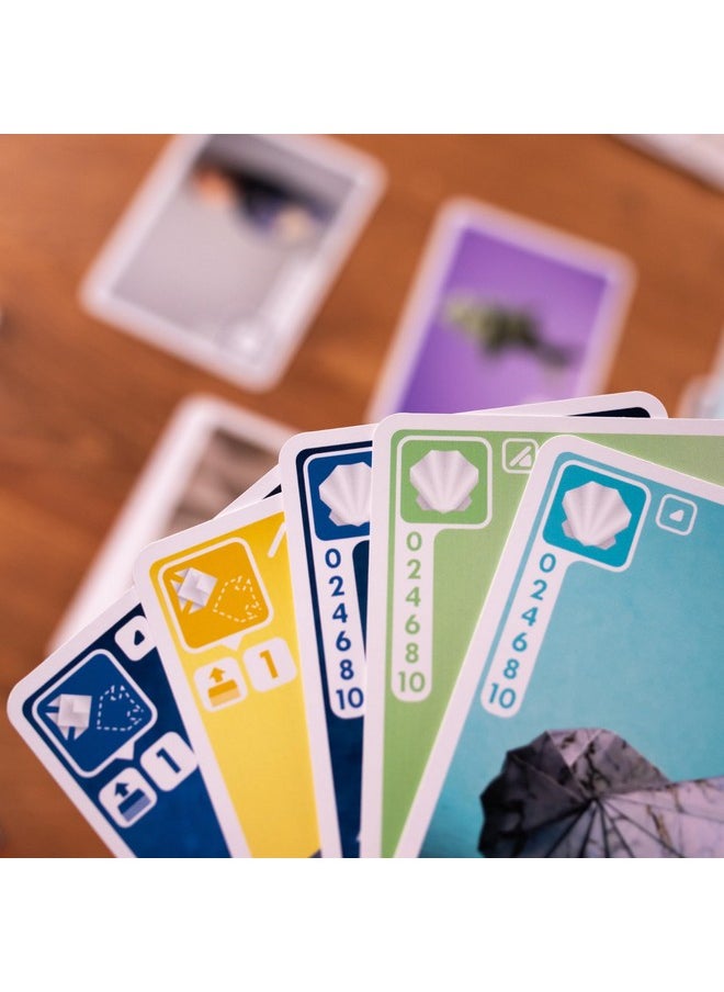 Pandasaurus Games Sea Salt and Paper Card Game - Ocean-Themed Strategy Game, Fast-Paced and Tactical, Fun Family Game for Kids and Adults, Ages 8+, 2-4 Players, 30-45 Minute Playtime, Made