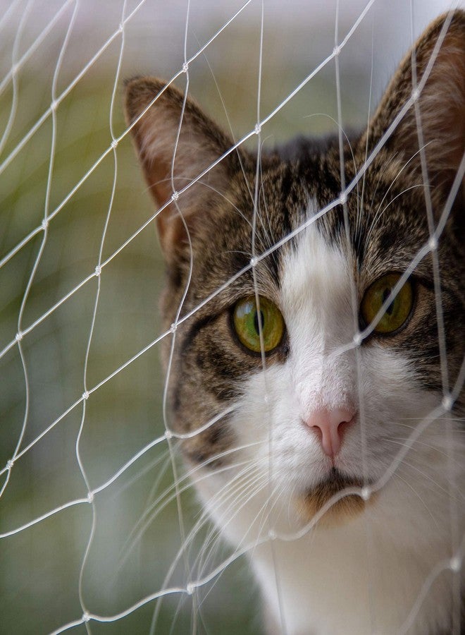 Qesonoo Cat Balcony Net Cat Anti-Fall Fence Net Dog Fence Nets Transparent Nylon Pet Mesh Fence Anti-Fall Netting for Balcony Window Stairs Netting for Balcony Window Stairs（1020ft, 10 * 20ft - Image 3