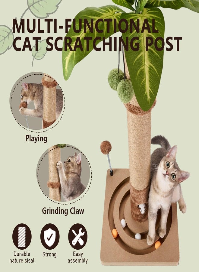 MECOOL Cat Scratching Post Sturdy and Premium Scratch Posts with Hanging Ball and Ball Track Toy Cute Cat Tree 30in for Indoor Kittens - Image 3
