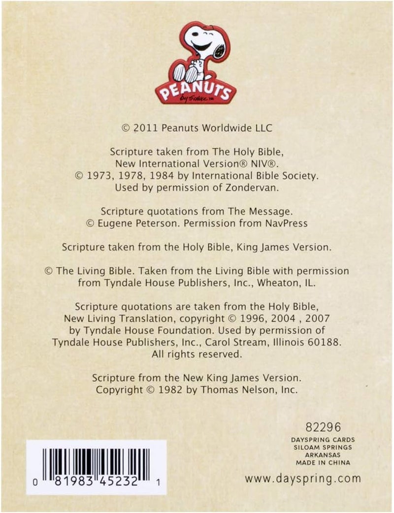 DaySpring  Peanuts  Encouragement Notes  32 Affirmations for Your Friends Coworkers or Family - Image 2