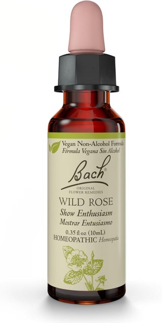 Bach Original Flower Remedies, Wild Rose (Non-Alcohol Formula) - Show Enthusiasm - Natural Homeopathic Flower Essence for Emotional Balance - Vegan, Gluten Free, Sugar Free - 10mL Dropper - pzsku/Z3CE99E475BCA698EA421Z/45/_/1744283955/e33fdf23-08f8-4442-8eae-7ae2a1273d2f