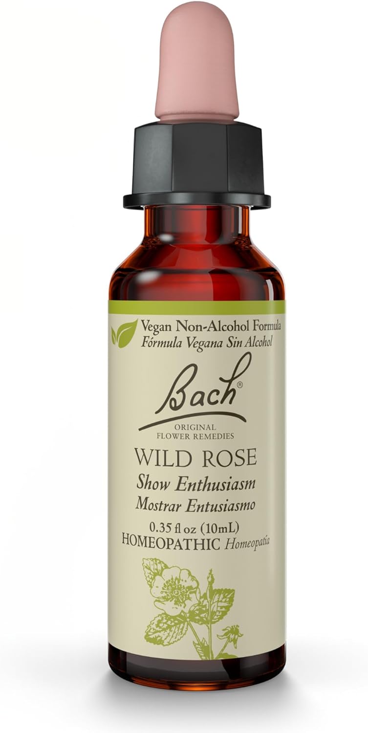 Bach Original Flower Remedies, Wild Rose (Non-Alcohol Formula) - Show Enthusiasm - Natural Homeopathic Flower Essence for Emotional Balance - Vegan, Gluten Free, Sugar Free - 10mL Dropper