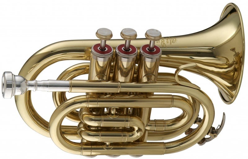 Stagg WS TR245 Bb Pocket Trumpet with Case 600 x 300 x 800 inches