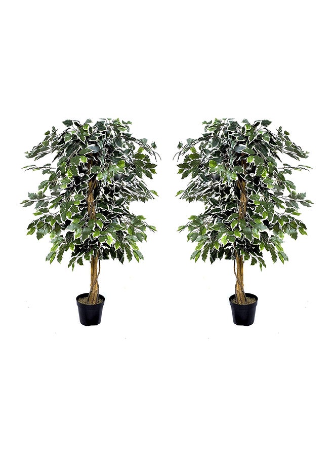 Greenbrokers Premium Artificial Variegated Ficus Tree Potted Plant 140 Cm (Set Of 2)