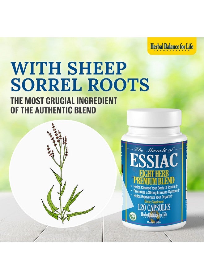 Herbal Balance for Life Organic Essiac Tea 8 Herb Capsules, 3199 mg per Serving - 120 Capsules, with Sheep Sorel Roots, More Potent 8-herb Essiac Tea Formula by Nurse Rene Caisse & Dr. Charles Brusch in The 1950s - Image 4
