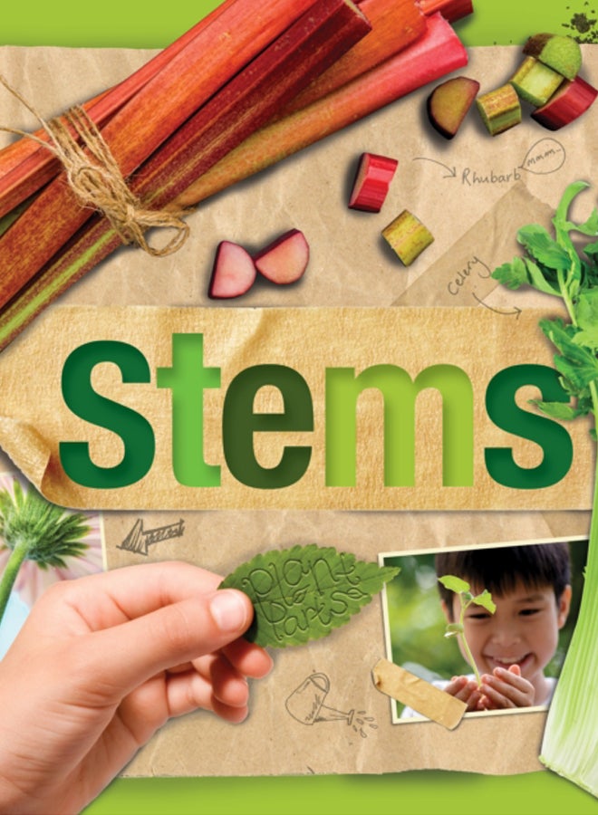 Stems 