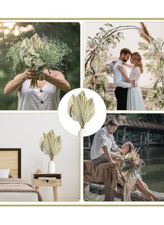 Generic Natural Dried Palm Leaves, 4PCS Large 18" Palm Fans, Perfect for Boho Wedding, Home Decor, Party Arrangements, Kitchen Vase, Farmhouse Table Centerpieces, Anniversary Decorations  - Image 5