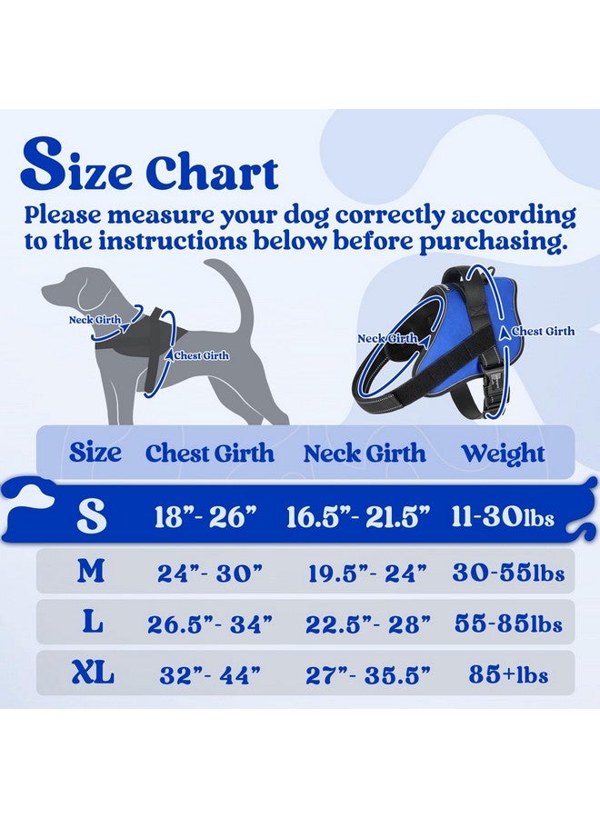 رابيتجو تسخير الكلاب من rabbitgoo متوسط الحجم، سترة للحيوانات الأليفة لا تسحب ولا تخنق، سهلة الارتداء بإبزيم واحد، عاكس، تسخير للحيوانات الأليفة قابل للتعديل مع مول للمشي والتدريب، أزرق، متوسط - Image 2
