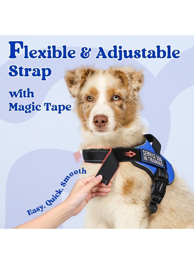 رابيتجو تسخير الكلاب من rabbitgoo متوسط الحجم، سترة للحيوانات الأليفة لا تسحب ولا تخنق، سهلة الارتداء بإبزيم واحد، عاكس، تسخير للحيوانات الأليفة قابل للتعديل مع مول للمشي والتدريب، أزرق، متوسط - Image 5