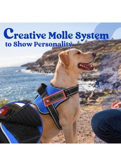 Rabbitgoo rabbitgoo Dog Harness Medium Sized, No Pull No Choke Pet Vest, Easy Wearing with One Buckle, Reflective, Adjustable Pet Harness with Molle for Walking, Training, Blue, M  - Image 4