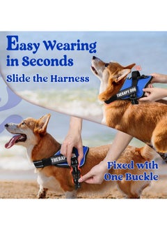 Rabbitgoo rabbitgoo Dog Harness Medium Sized, No Pull No Choke Pet Vest, Easy Wearing with One Buckle, Reflective, Adjustable Pet Harness with Molle for Walking, Training, Blue, M  - Image 3