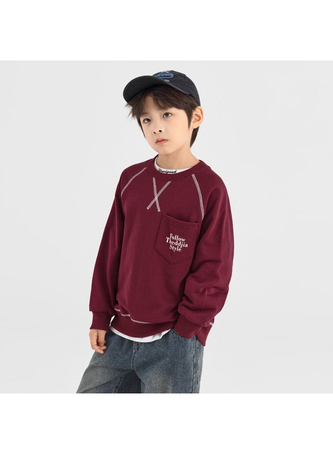 BOY س هودي، سترة أطفال خريفية ذات رقبة دائرية، طبقة أساسية، ألوان موضة 2025، ملابس رياضية عادية بتصميم ثلاثي الألوان بخيوط خمسة - Image 4