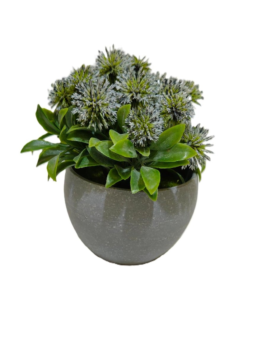 Generic Artificial Succulent Plant in Grey Ceramic Bowl Decorative Potted Faux Greenery 