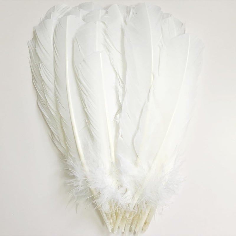 XKTEI 24Pcs White Turkey Feathers 10~12in Long,Beautiful Feather for Crafts 26-31cm,Bulk Big Size Bilateral Natural Feather,for Wedding Dress and Party Decoration,DIY Fabricating Handicraft Article (White) - Image 1