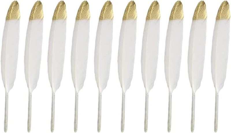 Luckam ريش للحرف، 30 قطعة ريش طبيعي لامع ريش أبيض طبيعي للحرف اليدوية (ريش مغطس بالذهب الأبيض) - Image 1