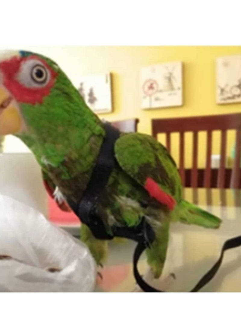 سيلكفكس تسخير الطيور القابلة للتعديل والقبض تسخير الببغاء لقبض تدريب الإمدادات الحيوانات الأليفة مضادة لدغة الحبل الطائر في الهواء الطلق لـ Conures Budgerigar Lovebird Cockatiel Mynah (S ، الأسود) - Image 4