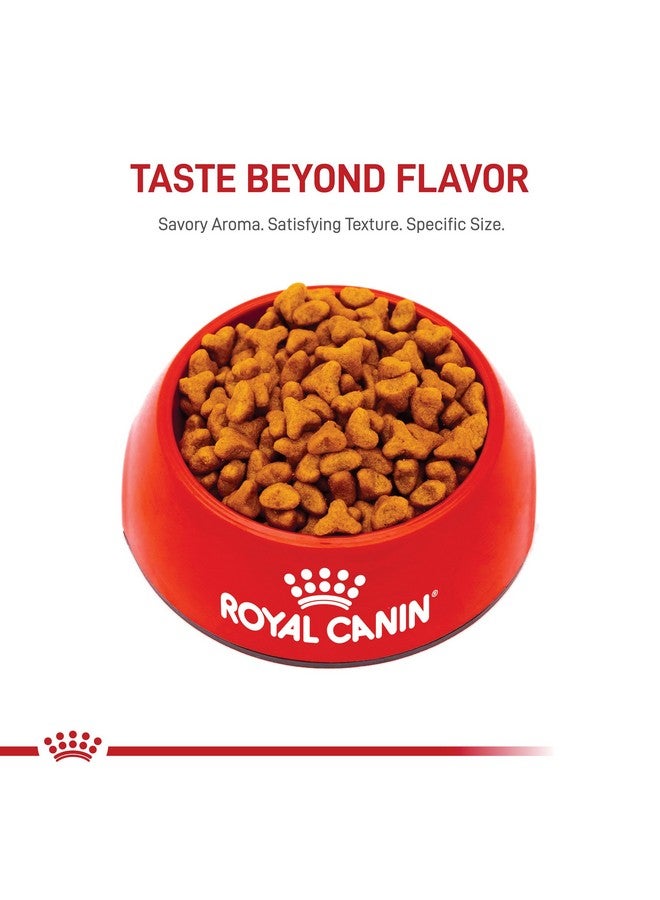 رويال كانين طعام جاف للكلاب من رويال كانين باج، مناسب لسلالات الكلاب البالغة، كيس 10 أرطال - Image 5